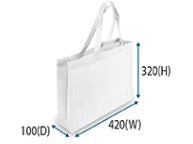 A3 Size Non-Woven Bag